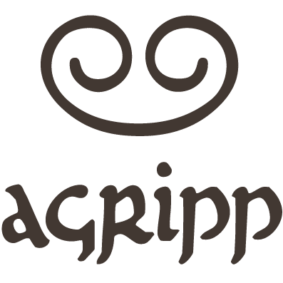 Our Brands 3 Agripp climbing holds logo