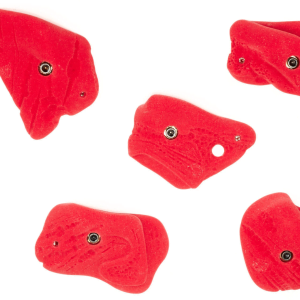 Menagerie Scoured Limestone Edges - Medium #2 - Set of 5
