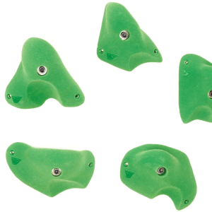 Menagerie Tadpols Large - Set of 5