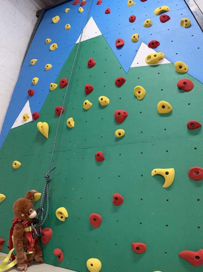 Climbing Walls 12 Therapy climbing wall at Moore Intensive Therapy Studio, Moonee Ponds