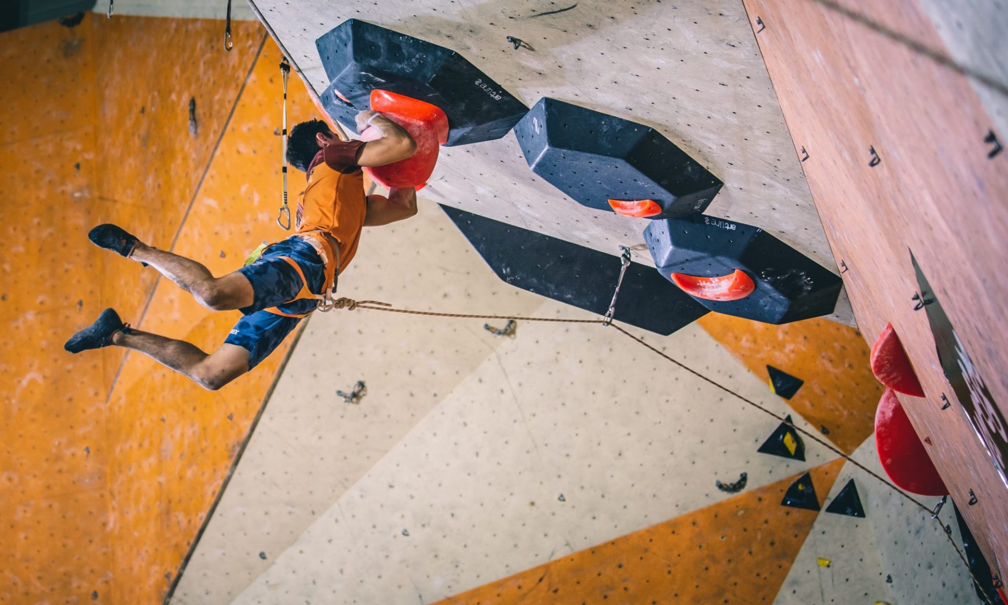 Lead climber on a competition wall