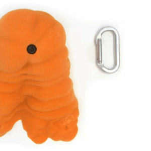 Rock Candy - Gastropods 3XL-A