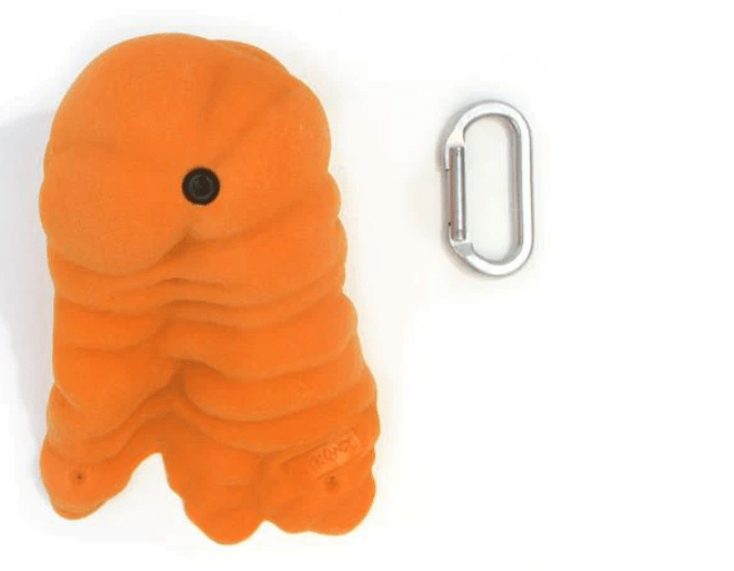 Rock Candy - Gastropods 3XL-A 1 Rock Candy - Gastropods 3XL-A