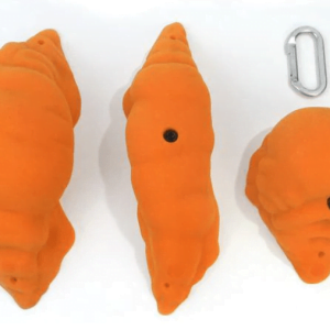 Rock Candy - Gastropods 3XL-B