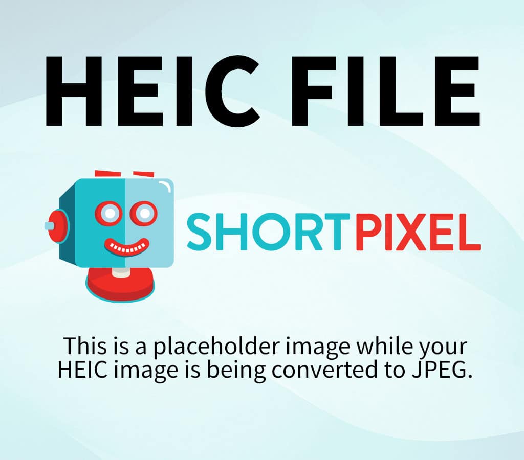 Home Woodies & System Boards 2 IMG 8365