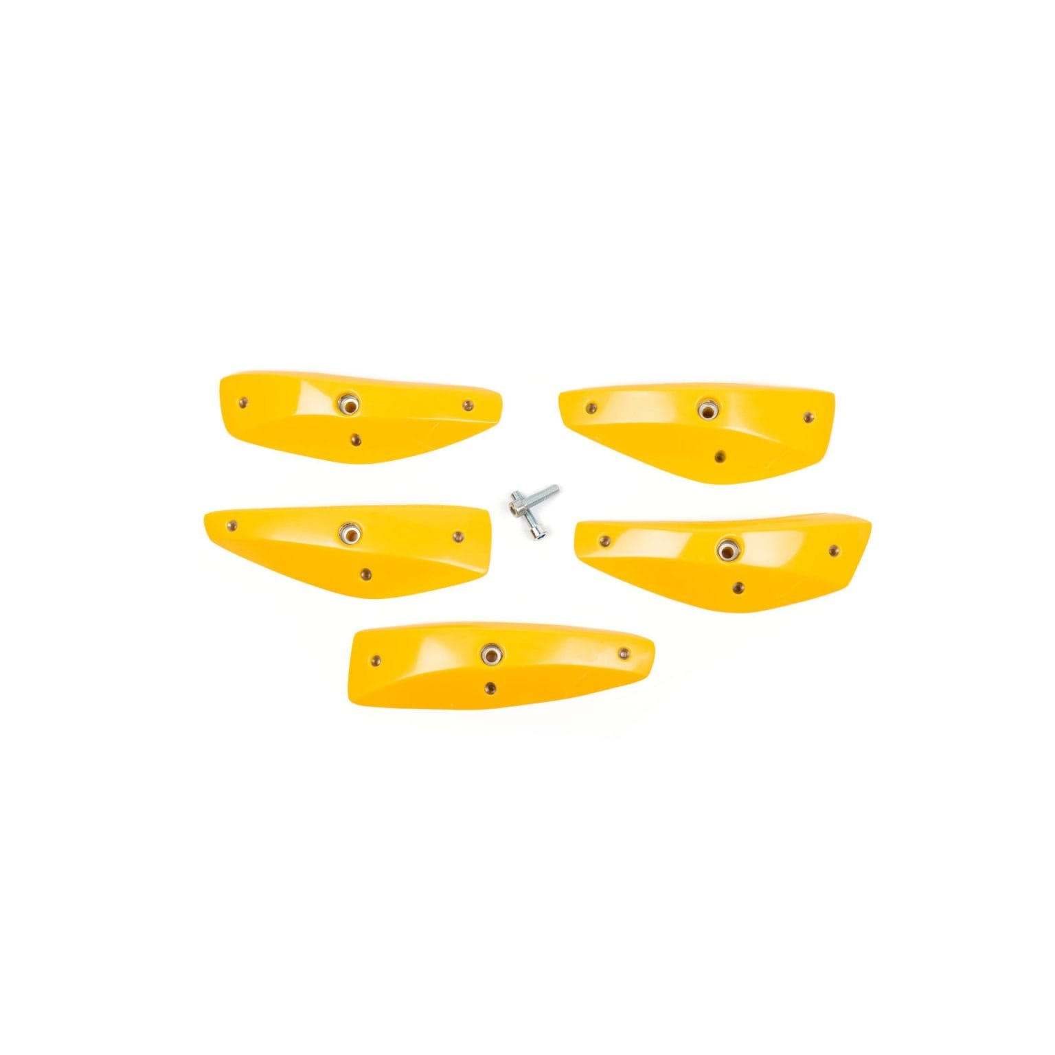 Expression - Foxes - Edges L 2 - PU 2 Expression - Foxes - Edges L 2 - PU - Image 2
