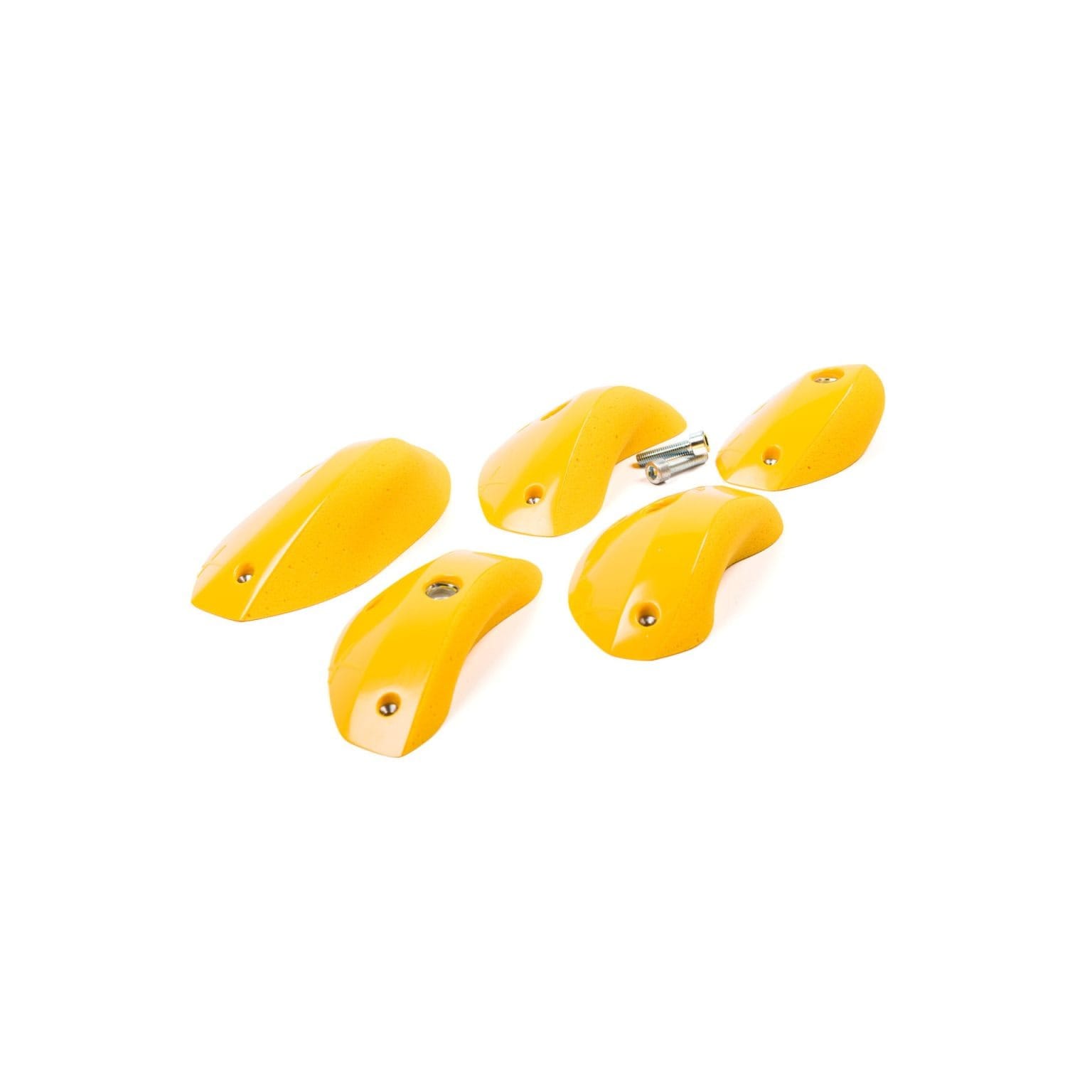 Expression - Foxes - Round Edges L2 - PU 1 Expression - Foxes - Round Edges L2 - PU
