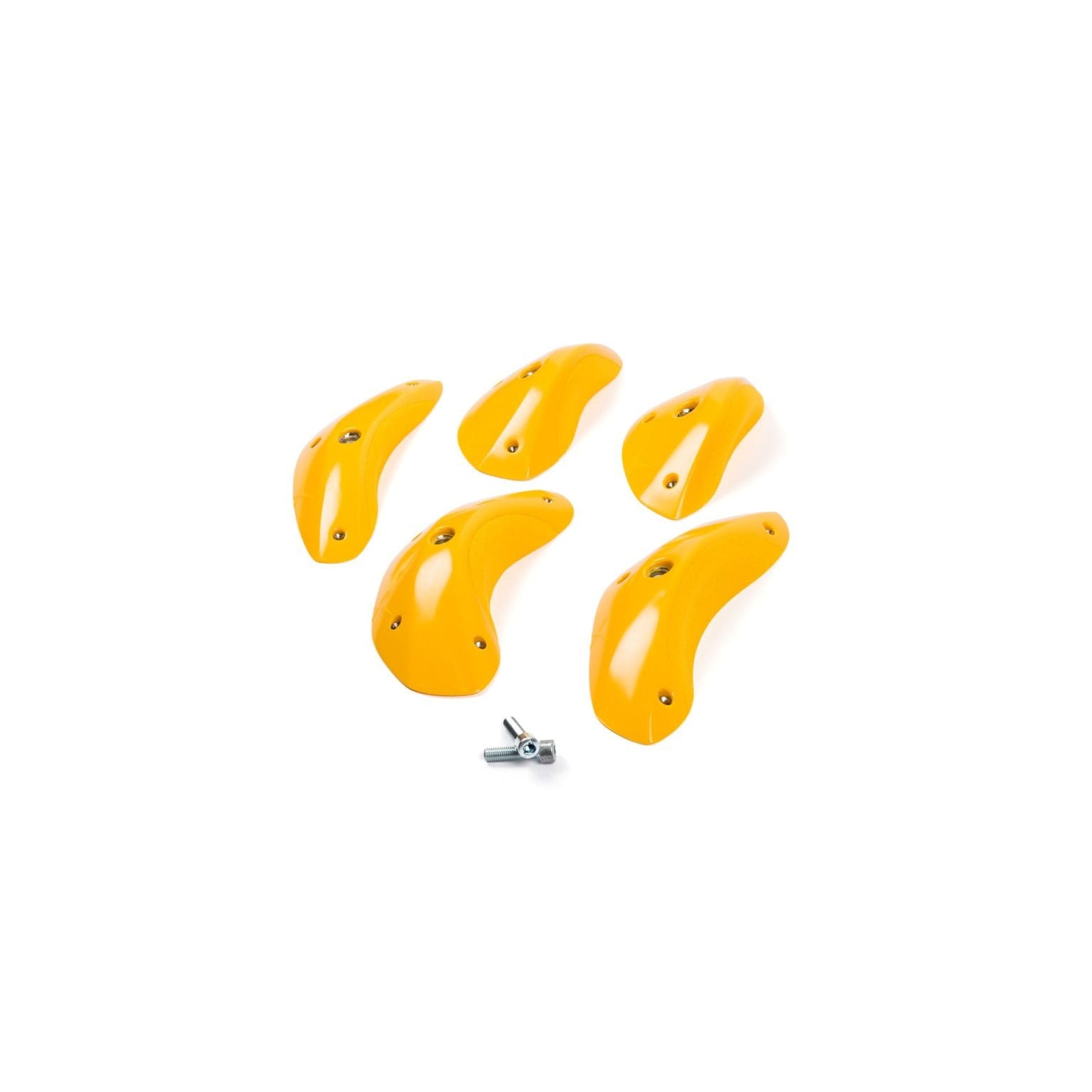 Expression - Foxes - Round Edges L4 - PU 1 Expression - Foxes - Round Edges L4 - PU