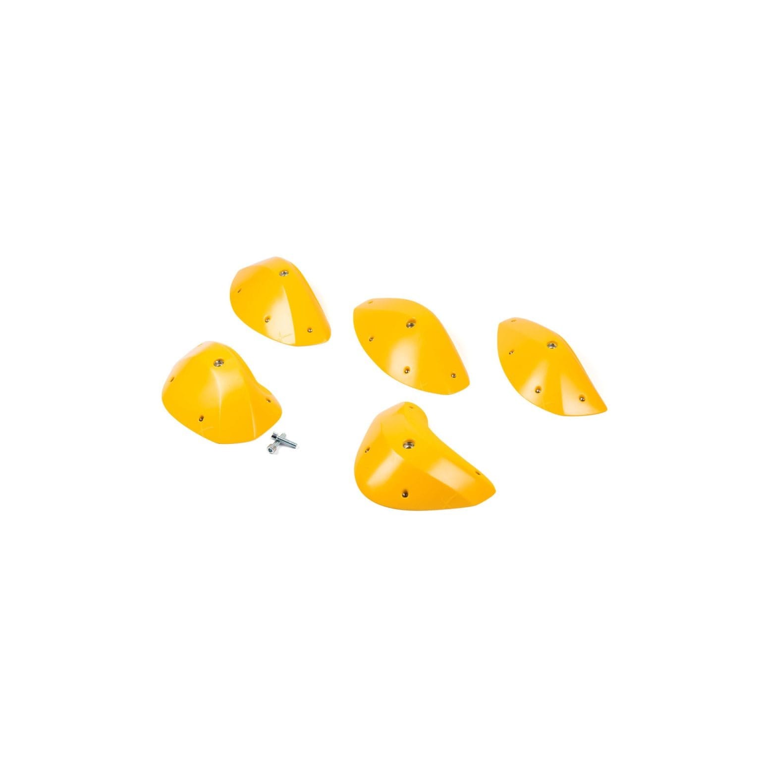 Expression - Foxes - Round Edges XXL 1 - PU 5 Expression - Foxes - Round Edges XXL 1 - PU - Image 5