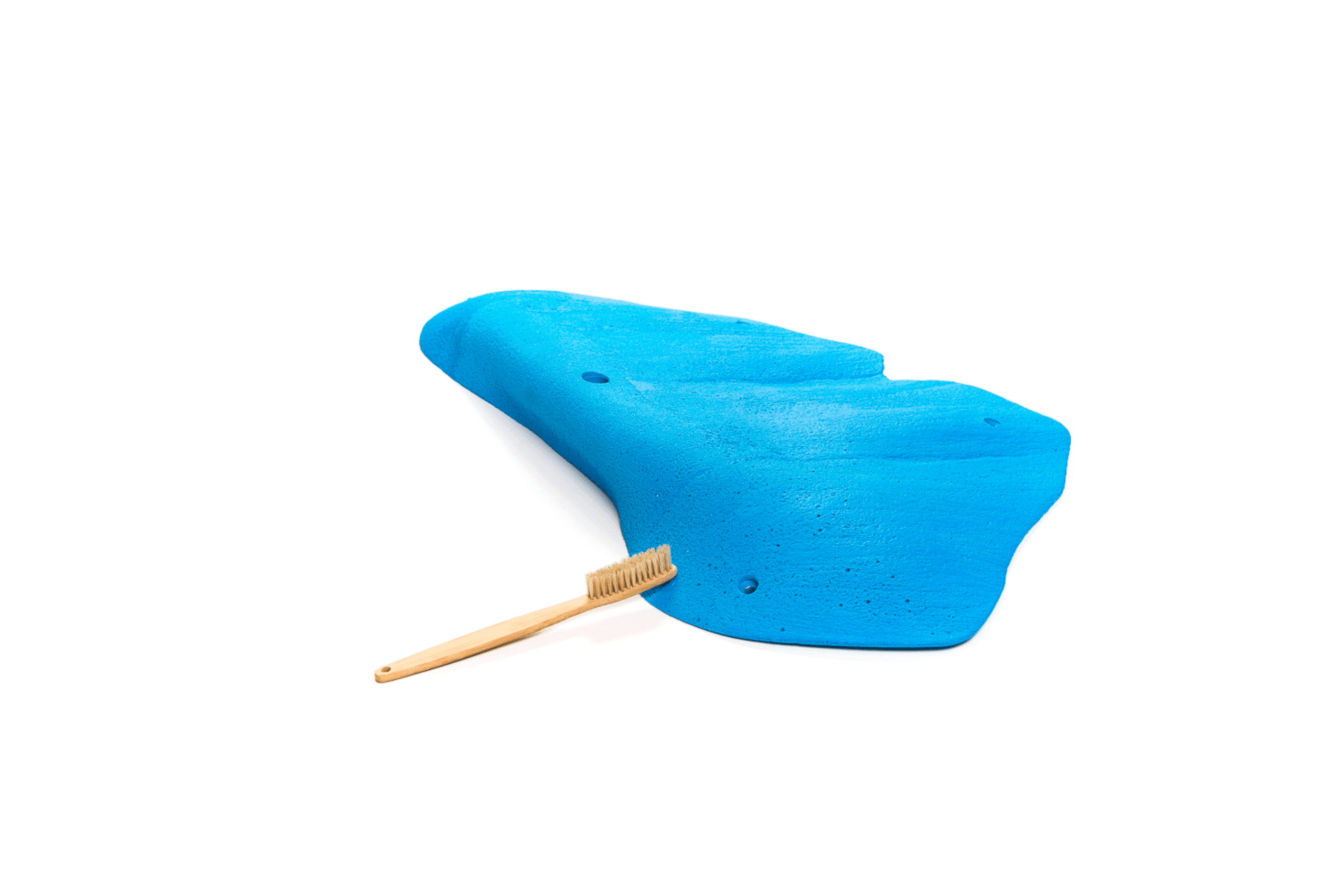 Cheeta - 2018 - XXL 4 1 Cheeta - 2018 - XXL 4