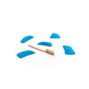 Cheeta - Wings - Harpies