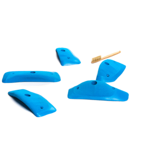 Cheeta - Wings - Hawk