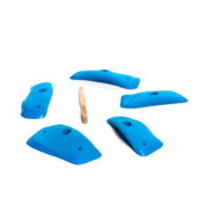 Cheeta - Wings - Raptor