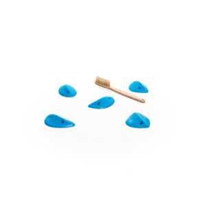 Cheeta - Wings - Ange