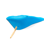 Cheeta - 2018 - XXL 5 6 download 6 2