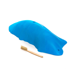 Cheeta - Wave - Hawaï