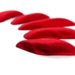 Granite SO 12 3 scaled 2